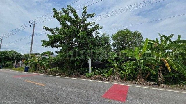 รูป ที่ดินพร้อมสิ่งปลูกสร้าง 4 ไร่ 83 ตร.วา ติดถนน สามพราน นครปฐม - รูปที่ 13/16