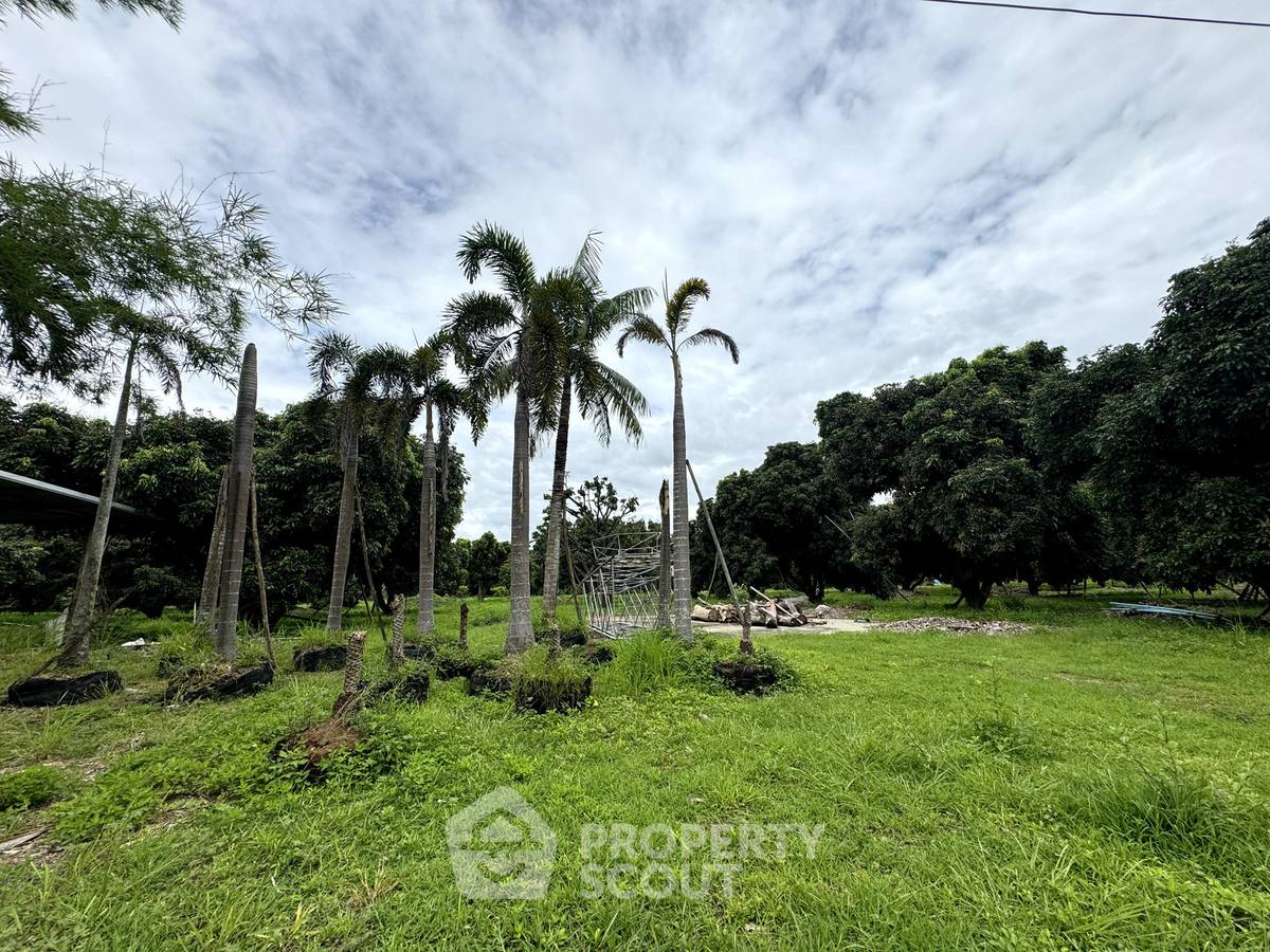 picture For sale Land Plot In Mae Faek Mai, San Sai, Chiang Mai 📍 (ID 3151644) - 1/11