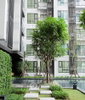 listing thumbnail image 4
