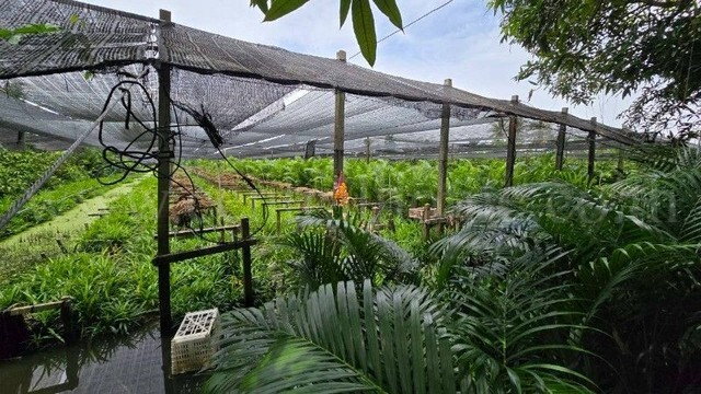รูป ที่ดินพร้อมสิ่งปลูกสร้าง 4 ไร่ 83 ตร.วา ติดถนน สามพราน นครปฐม - รูปที่ 11/16