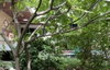 listing thumbnail image 4