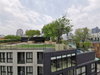 listing thumbnail image 48