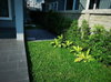 listing thumbnail image 10