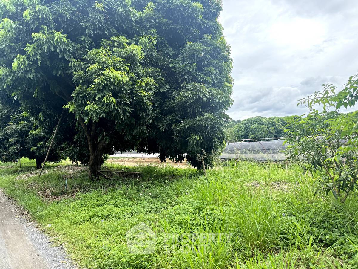 picture For sale Land Plot In Mae Faek Mai, San Sai, Chiang Mai 📍 (ID 3151644) - 8/11