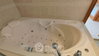 listing thumbnail image 16