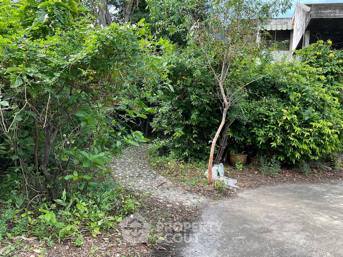 รูป ที่ดินขาย ในย่านวงศ์สว่าง บางซื่อ ใกล้ MRT บางซ่อน 200 ม. (ID 1267059) - รูปที่ 12/12