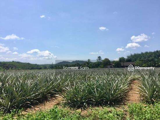 picture Land for sale, Khao Saming District, Trat Province, - 1/6