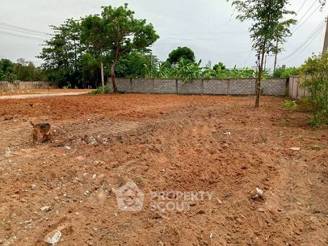 รูป ขายที่ดินทำเลจอมเทียน บางละมุง ชลบุรี ใกล้ชายหาด (ID 1973744) - รูปที่ 1/3