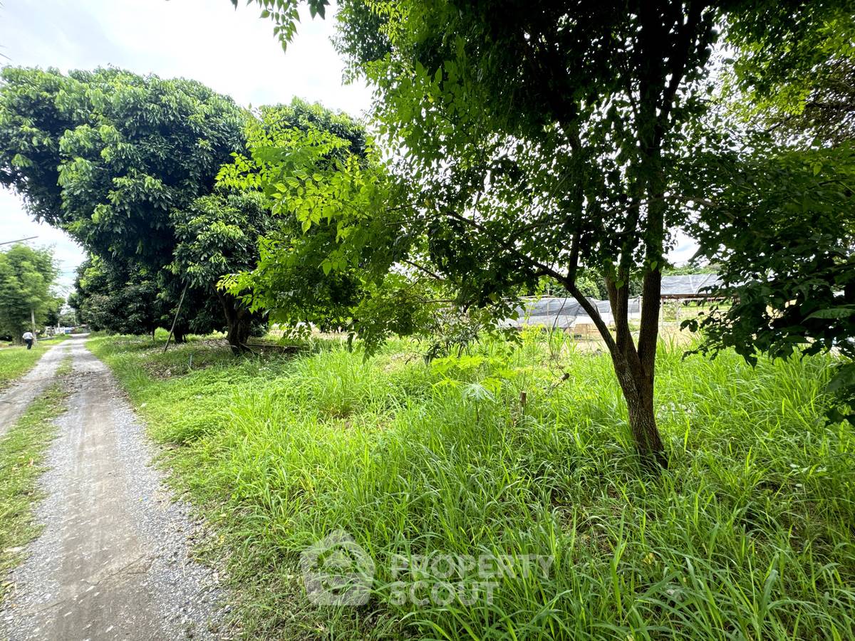 picture For sale Land Plot In Mae Faek Mai, San Sai, Chiang Mai 📍 (ID 3151644) - 7/11