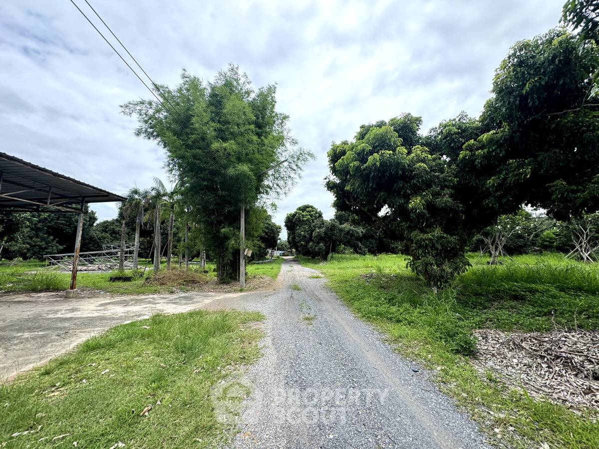 picture For sale Land Plot In Mae Faek Mai, San Sai, Chiang Mai 📍 (ID 3151644) - 11/11