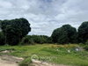listing thumbnail image 4