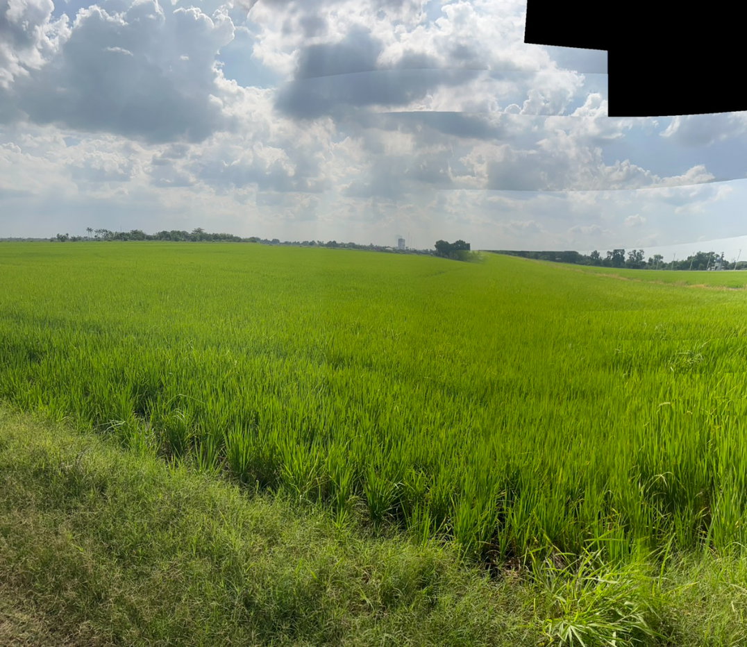 รูป ขายที่ดินเปล่า คลองเปรง 25 ไร่ 312 ตรว อำเภอเมืองฉะเซิงเทรา ทำเลศักยภาพ ใกล้กรุงเทพฯ และพื้นที่ EEC - รูปที่ 10/10