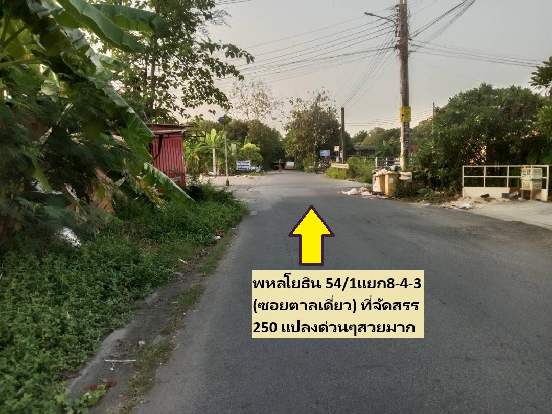 รูป ขายที่ดินพหล สายไหม 6 ที่ดินจัดสรร 169 ตารางวาได้แปลงมุม ได้ทิศเหนือหน้าบ้าน มุมตะวันตก โซนเปิดให้ใหม่ ขนาดดิน 34 เมตร ลึก 20 เมตร สวยสุดๆ  - รูปที่ 11/19
