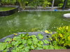 listing thumbnail image 33