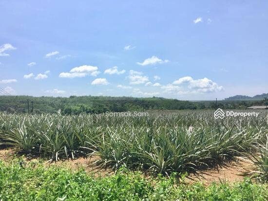 picture Land for sale, Khao Saming District, Trat Province, - 2/6