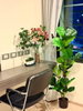 listing thumbnail image 1
