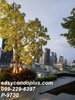 listing thumbnail image 11