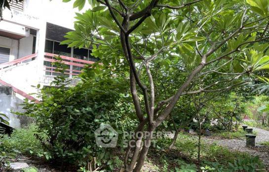 รูป ที่ดินเพื่อขาย ใกล้ MRT บางซ่อน 20 ม. เขตบางซื่อ กรุงเทพ (ID 1945005) - รูปที่ 6/10
