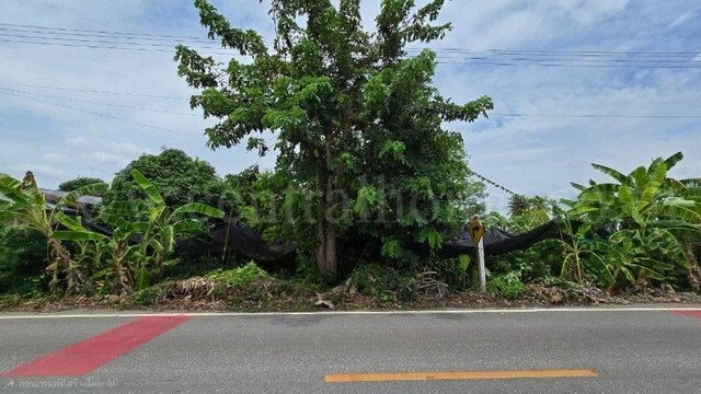รูป ที่ดินพร้อมสิ่งปลูกสร้าง 4 ไร่ 83 ตร.วา ติดถนน สามพราน นครปฐม - รูปที่ 12/16