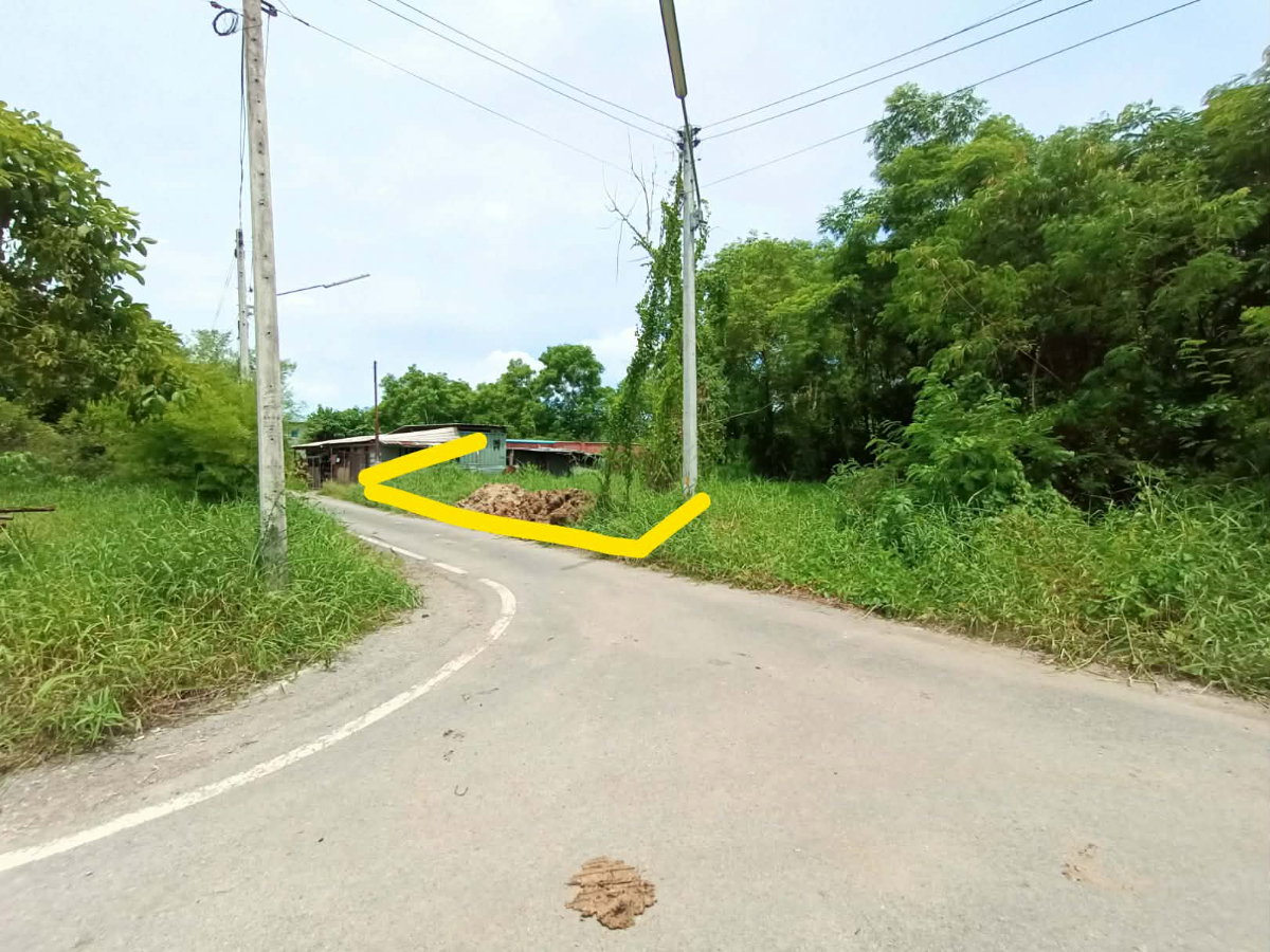 รูป ราคาจับต้องได้ ได้ที่ดินทรงเหลี่ยมสวย! 101 ตร.ว. คลอง 6 คลองหลวง (ซอยตะวันตก 13 ) หน้ากว้าง 20 เมตร x 20 เมตร (ถมไปแล้วบางส่วน) ใกล้ มทร ธัญบุรี - รูปที่ 4/5