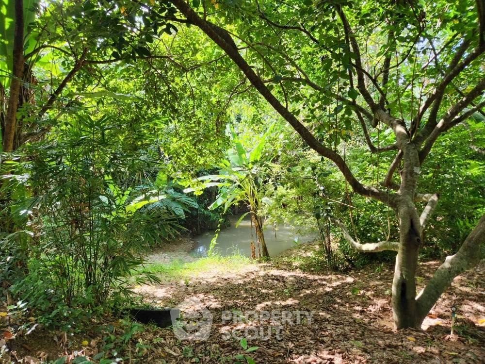 picture Land For Sale In Talat Yai, Mueang Phuket, Phuket (ID 1793204) - 3/8