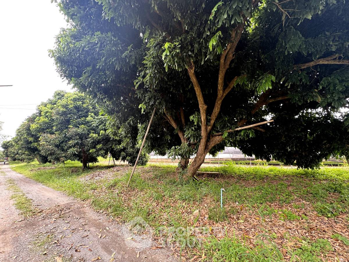 picture For sale Land Plot In Mae Faek Mai, San Sai, Chiang Mai 📍 (ID 3151644) - 9/11