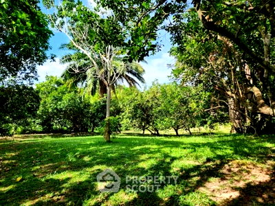 ที่ดิน วิทยาลัยเทคนิคภูเก็ต : ที่ดินสำหรับขาย ในตลาดใหญ่ เมืองภูเก็ต ภูเก็ต (ID 1793204)