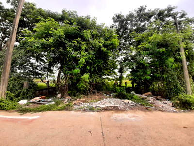 Land for sale Kasem Bundit Phatthanakan University  : Land for Sale at Pattanakarn Soi 69