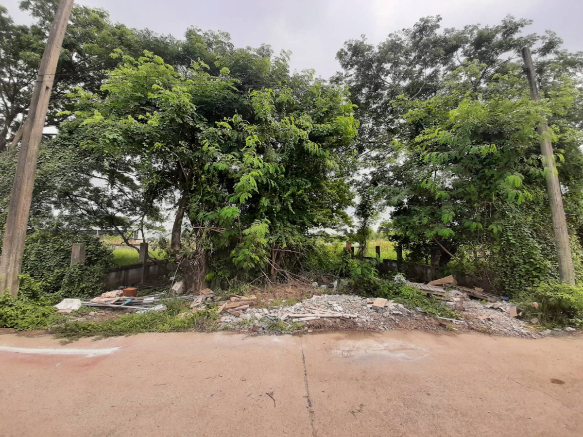 รูป ขายที่ดิน 75 ตรว. ถนนพัฒนาการ ซ.69 - รูปที่ 1/2