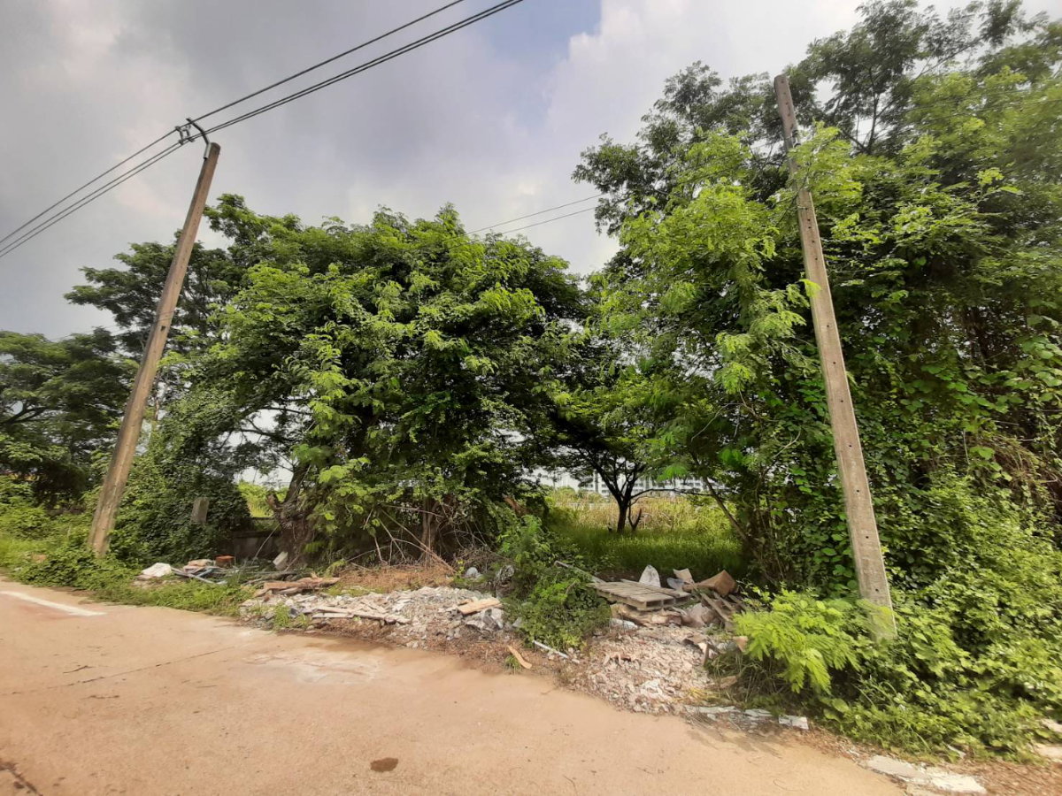 รูป ขายที่ดิน 75 ตรว. ถนนพัฒนาการ ซ.69 - รูปที่ 2/2