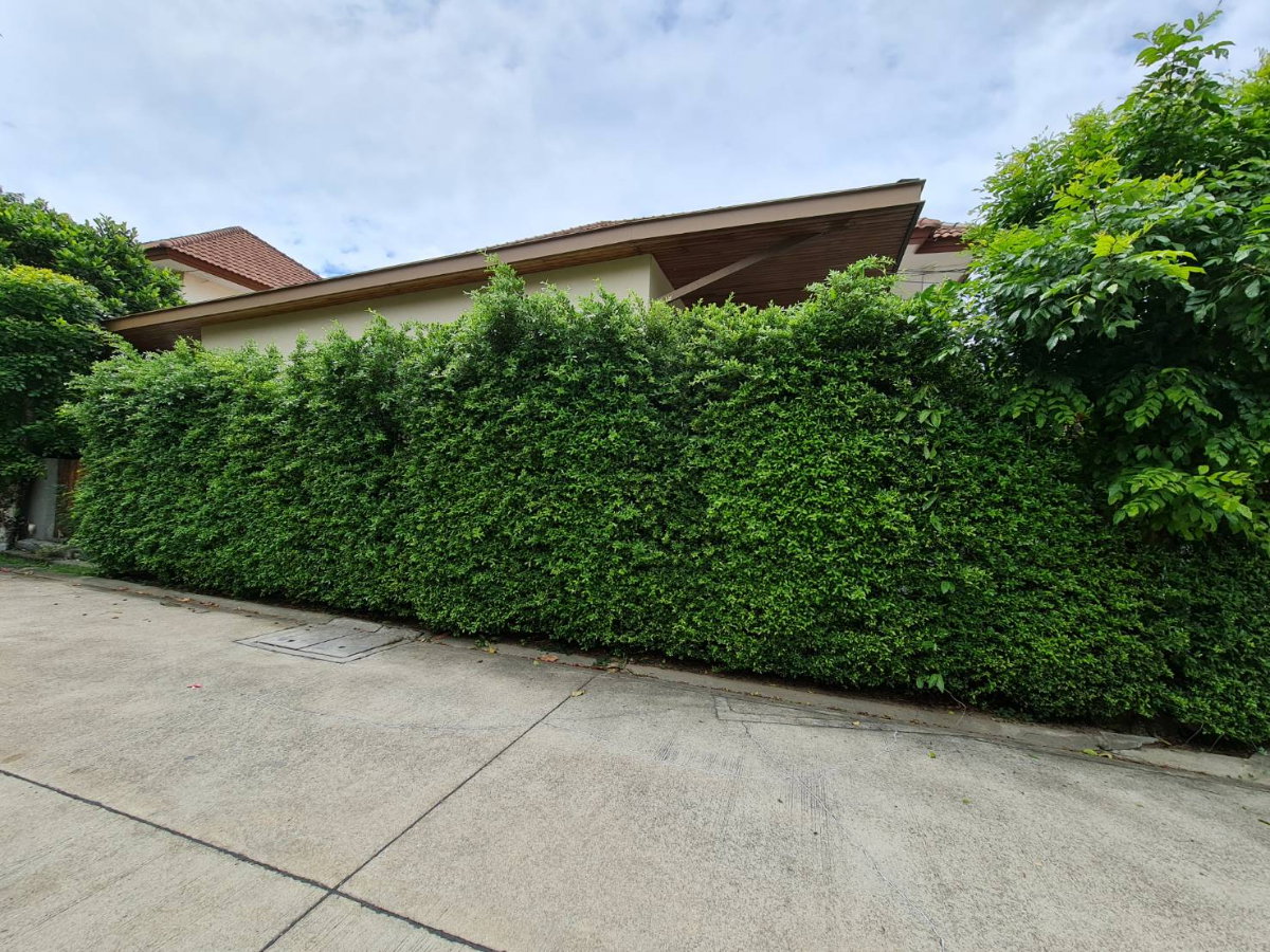 picture House for rent with office (corner house). - 7/18
