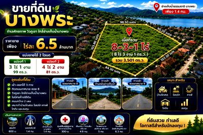 ที่ดิน ตลาดสามย่าน แกลง : ขายที่ดินทำเลทอง เกือบ 9 ไร่ บางพระ ศรีราชา