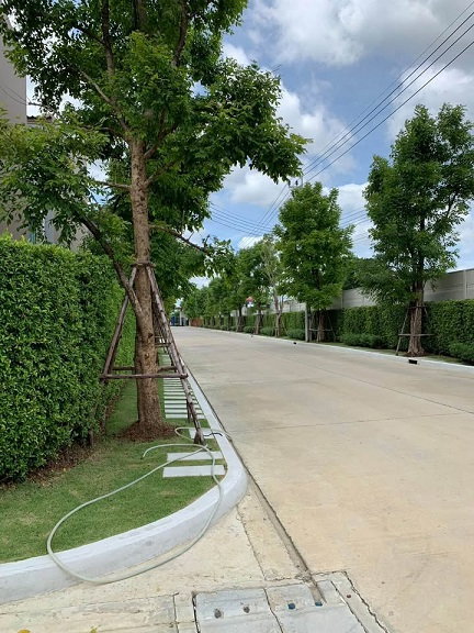 รูป **ปล่อยเช่าทาวน์โฮมหลังมุม "บ้านกลางเมือง ราชพฤกษ์" | พื้นที่กว้าง บรรยากาศสวน 180 องศา 🌿ได้ฟีลธรรมชาติ แต่เดินทางเข้าเมืองสะดวก แนะนำหลังนี้เลยครับ! - รูปที่ 3/22