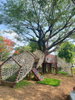 listing thumbnail image 16