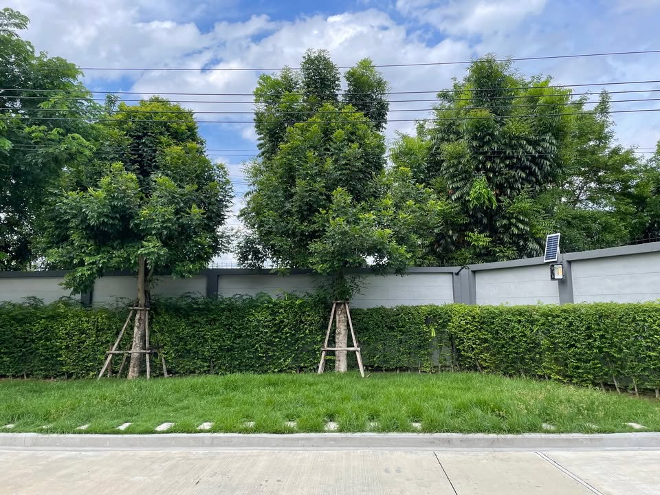 รูป 💥ขาย บ้านเดี่ยว 2 ชั้น  VENUE ID Rama 5 เวนิว ไอดี พระราม 5 บ้านสวยหลังริม แต่งครบพร้อมอยู่ ทำเลถนนนครอินทร์✅ ความเป็นส่วนตัวสูง - รูปที่ 35/36
