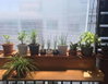 listing thumbnail image 15