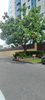 listing thumbnail image 21