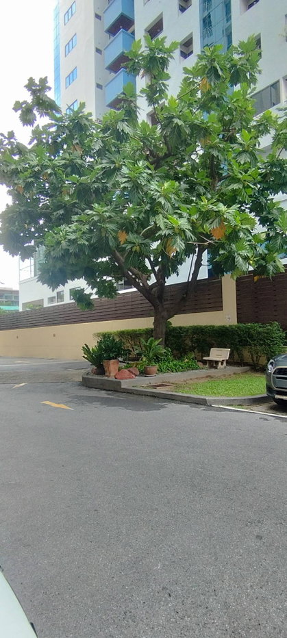 picture To let 59 Heritage, 17th floor room, spacious, 2 bedrooms, 2 bathrooms, excellent location. - 22/22