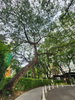 listing thumbnail image 7