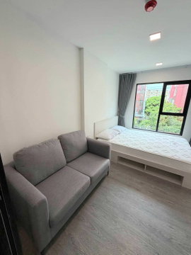 Kave Wonderland for rent.......
