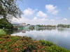 listing thumbnail image 13