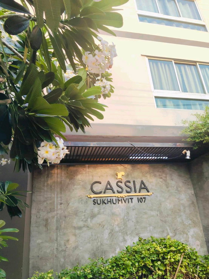 รูป 🔥ด่วน ห้องไปไวมากกก Code: 26KJ4044  ให้เช่า Cassia ✅ Add Line @kjcondo (มี@ข้างหน้าด้วยนะคะ) - รูปที่ 9/12