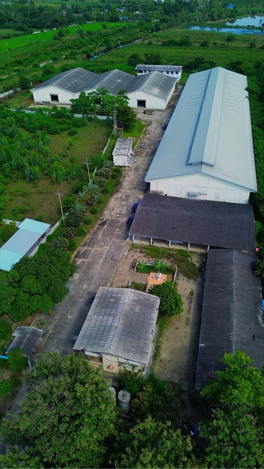 รูป ให้เช่าโรงงานพร้อมโกดัง 17 ไร่ สุพรรณบุรี พื้นที่ใช้สอย 7,200 ตร.ม. ไฟ 500 KVA พร้อมใช้งาน - รูปที่ 4/10