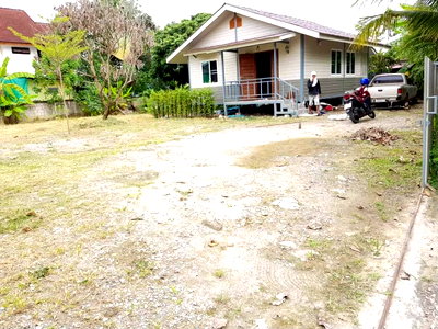 บ้านเดี่ยว เชียงใหม่ : 🏡 ขายด่วน! บ้านเดี่ยวสารภี ที่ดิน 140 ตร.ว. ต่ำกว่าราคาประเมิน ใกล้แยกป่าแดด 📞 063-664-9056