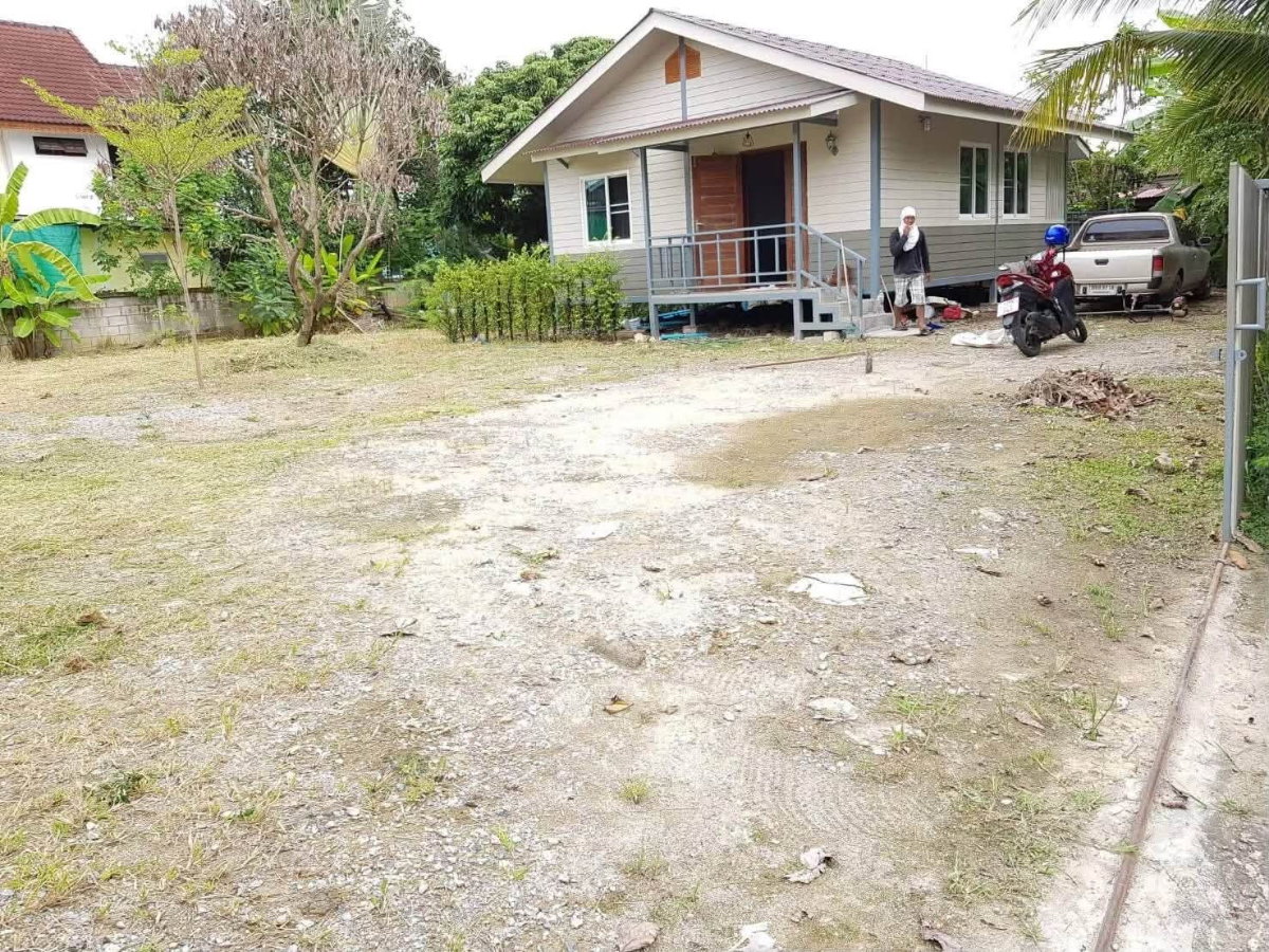 รูป 🏡 ขายด่วน! บ้านเดี่ยวสารภี ที่ดิน 140 ตร.ว. ต่ำกว่าราคาประเมิน ใกล้แยกป่าแดด 📞 063-664-9056 - รูปที่ 1/5