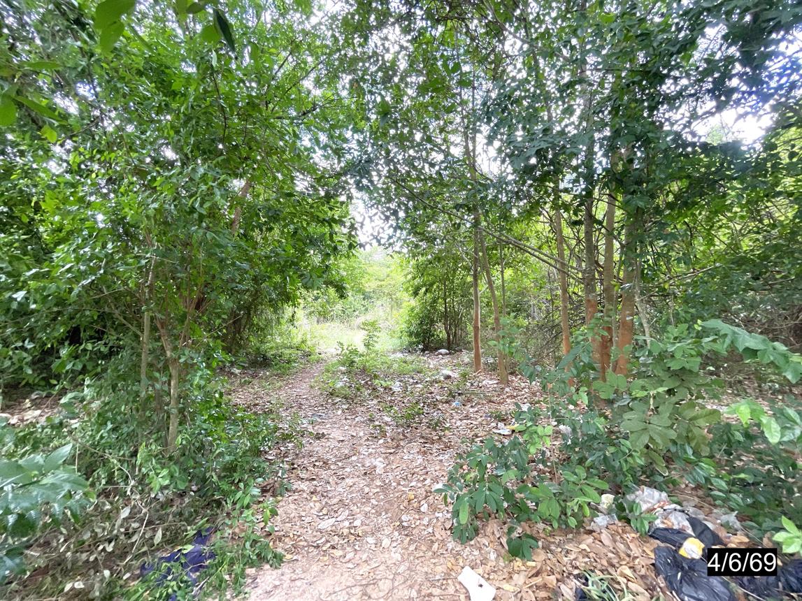 รูป ที่ดินว่างเปล่า 4372 ตร.วา ยางตลาด กาฬสินธุ์ 4.9M - รูปที่ 11/16