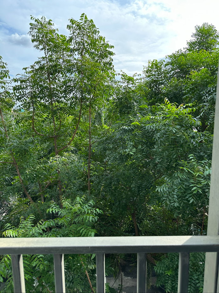 picture Condo for Sale – iCondo Serithai Green Space | Building B | 25 Sq.m. | 1.79 MB - 2/15