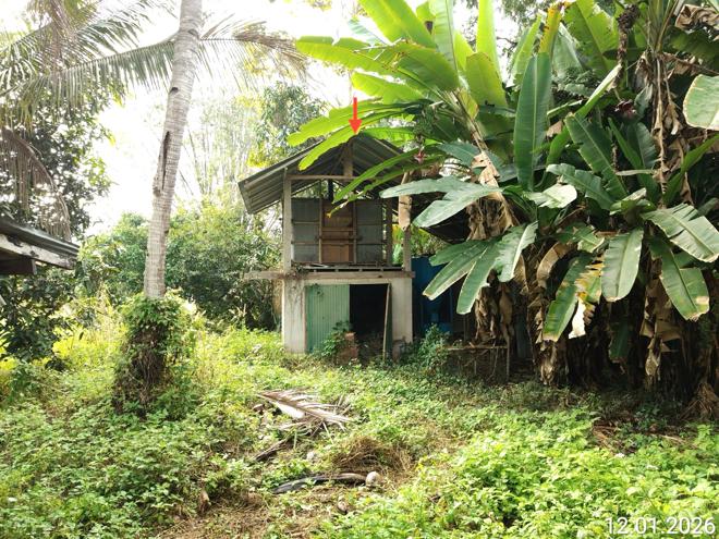 picture HOME 611 Sq.w. Wiang Sa Nan for 6.4M - 6/24