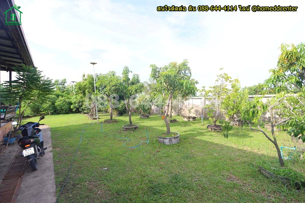 รูป ขายบ้านสวนพร้อมที่ดิน 579 ตร.ว. ทับยาว ลาดกระบัง ใกล้สุวรรณภูมิ มอเตอร์เวย์ เทคโนฯพระจอมเกล้า ลาดกระบัง - รูปที่ 21/36