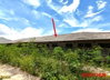 listing thumbnail image 13